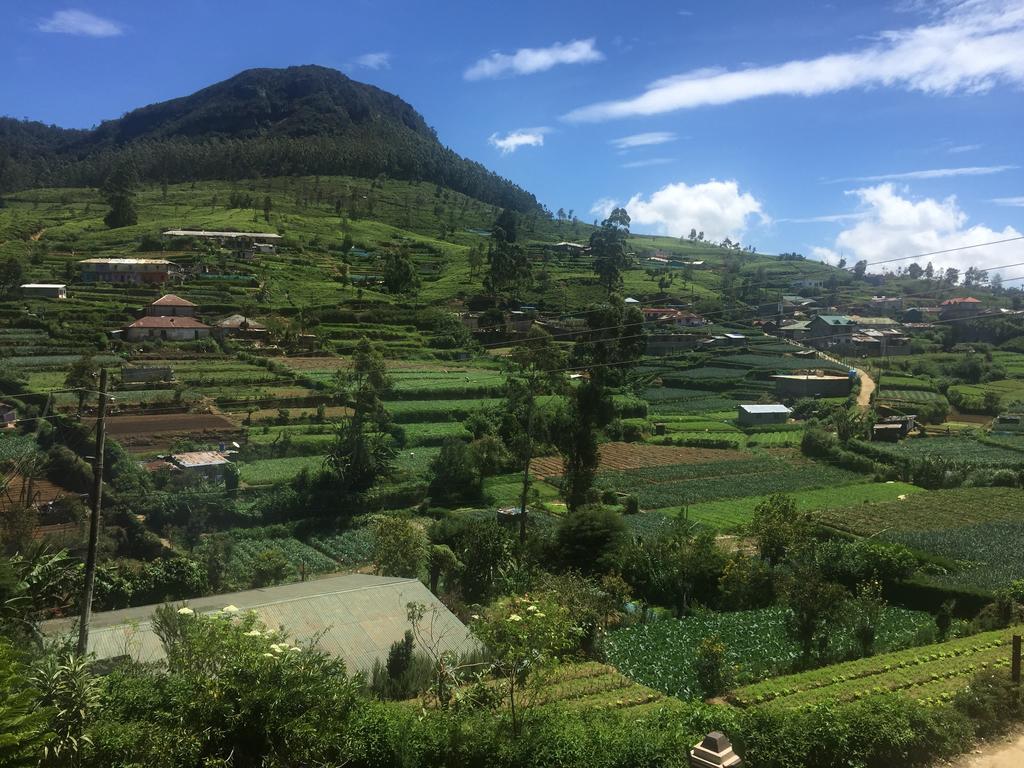 Perera Homestay Nuwara Eliya Zewnętrze zdjęcie