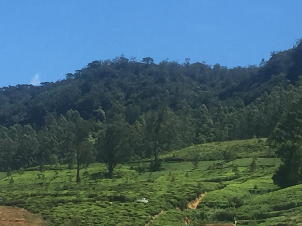 Perera Homestay Nuwara Eliya Zewnętrze zdjęcie
